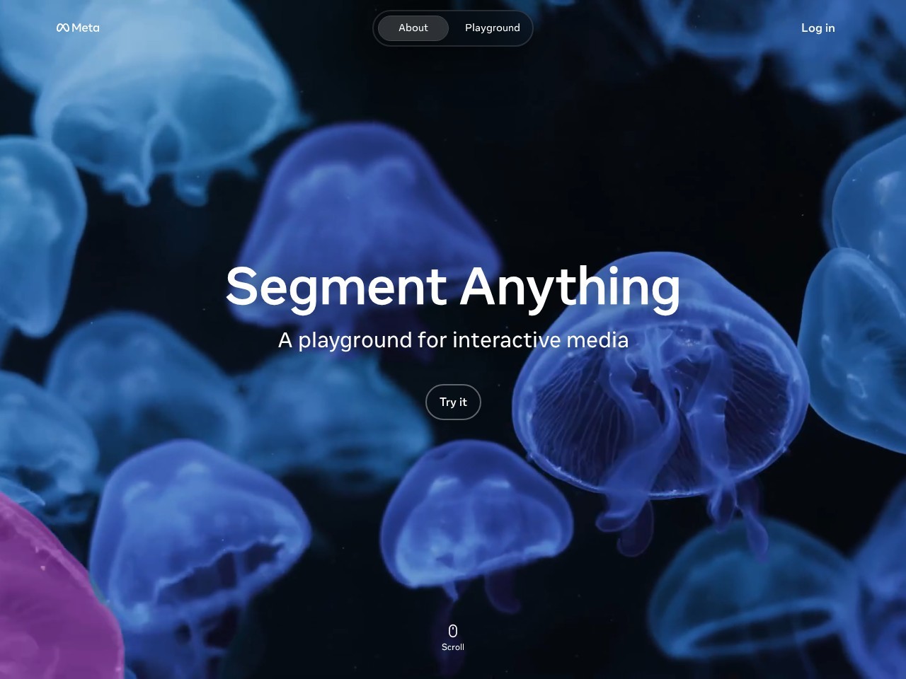 Segment Anything（SAM）